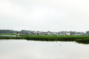 Foto: Cilts sievietes un saldūdens delfīnu meklējumi Borneo